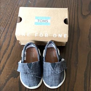 Baby Toms